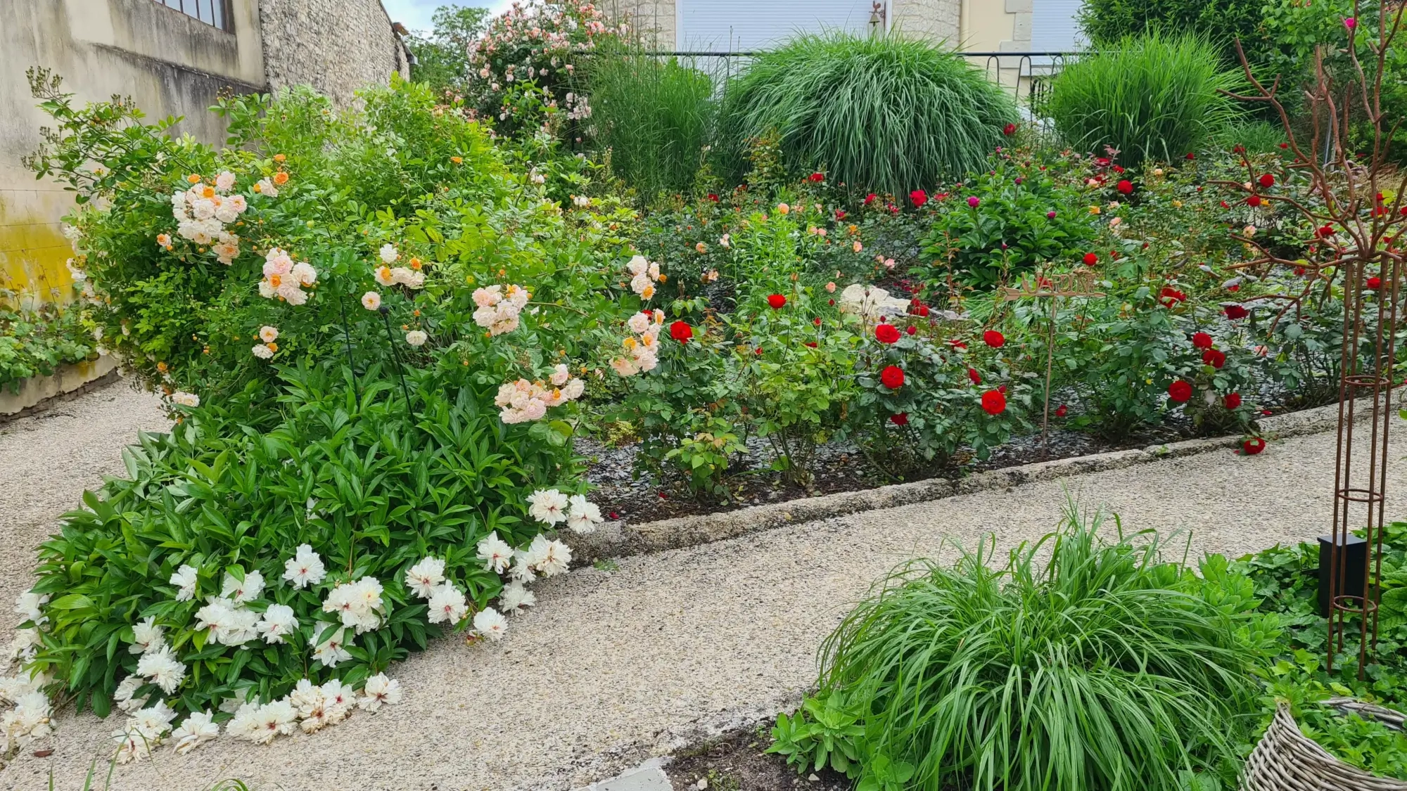 20240523_092647-scaled